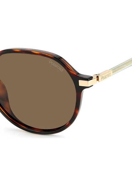 Pld 4149/G/S/X 086SP Polarize Kadın Güneş Gözlüğü indirimleri