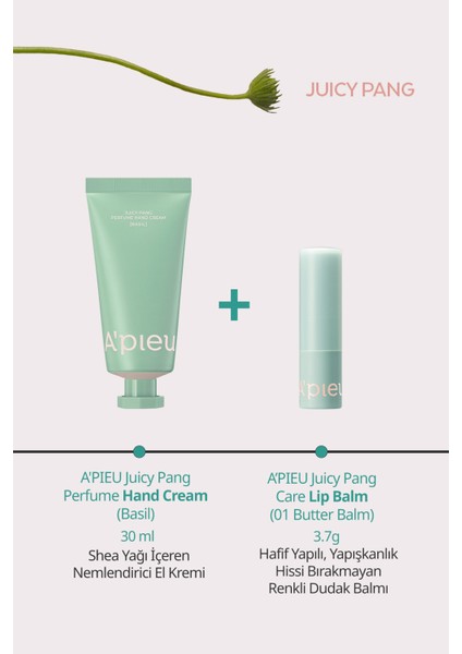 Nemlendirici El Kremi & Dudak Balmı Set Apıeu Juicy-Pang Perfume Hand Cream&lip Balm Set fiyatları