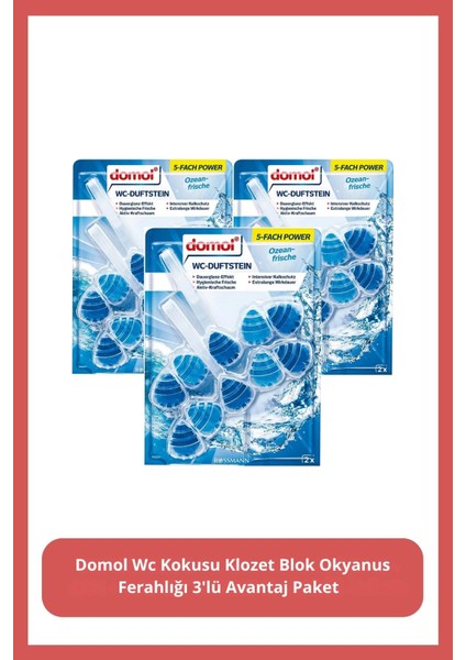 Wc Kokusu Klozet Blok Okyanus Ferahlığı 110 gr 3'lü Avantaj Paket