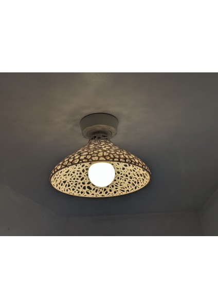 Küçük Kavisli Voronoi Abajur fiyatları