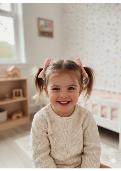 Kurdele Model Mor ve Pembe Renkli Dört Adet Toka Seti fiyatları