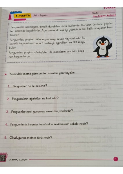 3. Sınıf Öğrenme Takip Sistemi fırsatları