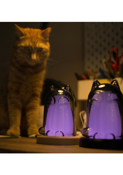 Ikea Kustfyr Kedili 3dcatz Kedi Lambası