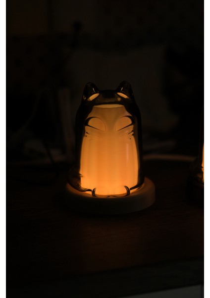 Ikea Kustfyr Kedili 3dcatz Kedi Lambası indirimleri