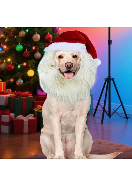 Cat Dog Noel Noel Baba Şapkası Komik Sevim Noel Baba Şapka Kış Günü Gecesi Için Aile Arkadaşları Gençk Gençler Kız A (Yurt Dışından) indirimleri