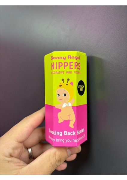 Hippers Looking Back Series