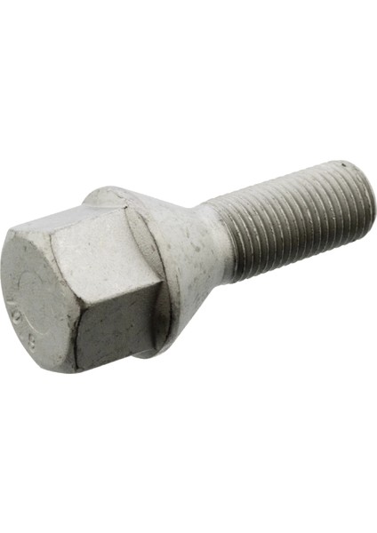 FBI46637 - Bıjon - Febı