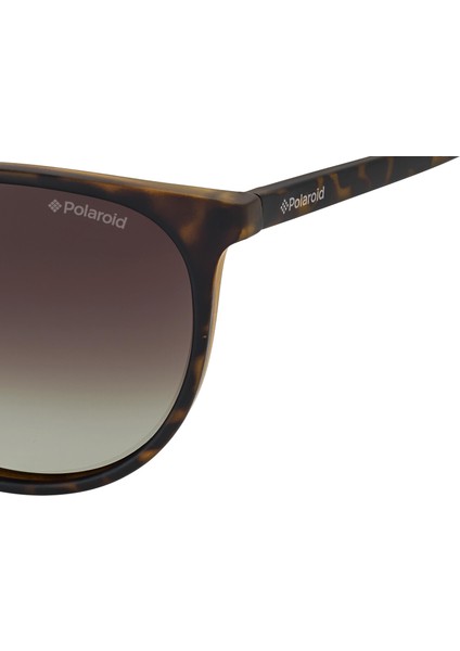 Pld 6003/N/S V08LA Unisex Polarize Güneş Gözlüğü indirimleri