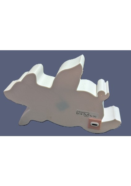 Rgb Uçan Domuz Lambası