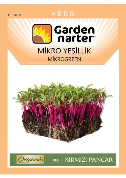 Mikro Yeşillik Için Microgreen Organik Kırmızı Pancar Tohumu Mikro Filiz Tohumu 10 gr 1000 Tohum