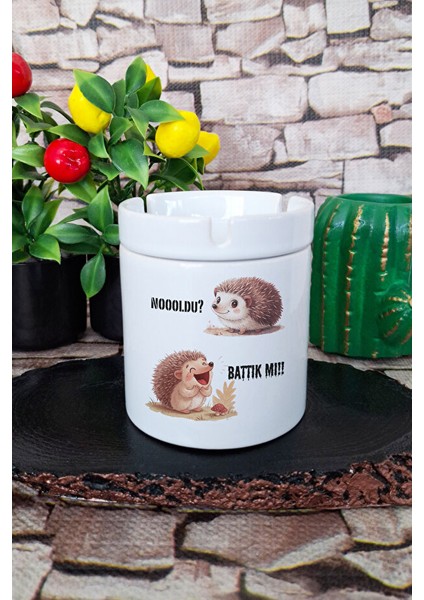Noldu? Battık Mı? Kirpi- Eğlenceli Hediyelik Baskılı Seramik Kapaklı Kokusuz Küllük
