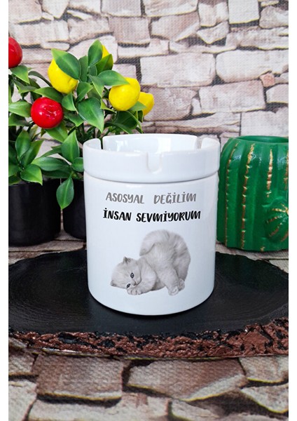 Asosyal Değilim Insan Sevmiyorum Hediyelik Eğlenceli Sevimli Baskılı Seramik Kapaklı Kokusuz Küllük