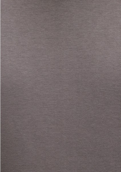 Kapüşonlu Antrasit Basic Sweatshirt 0S10275-70096
