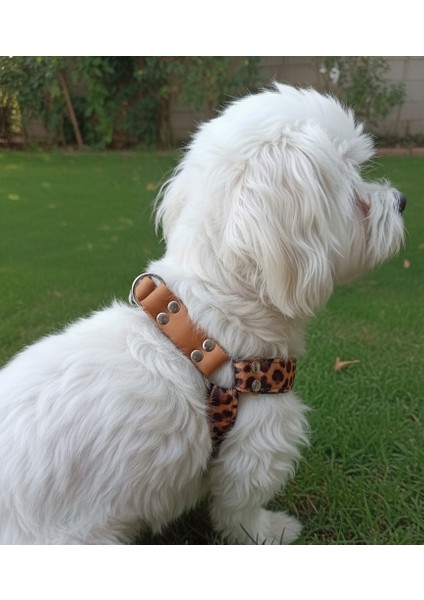 Köpek Göğüs Tasması Küçük, Orta ve Büyük Irk Ayarlamalı Kolon Kordon & Deri Leopar Desen