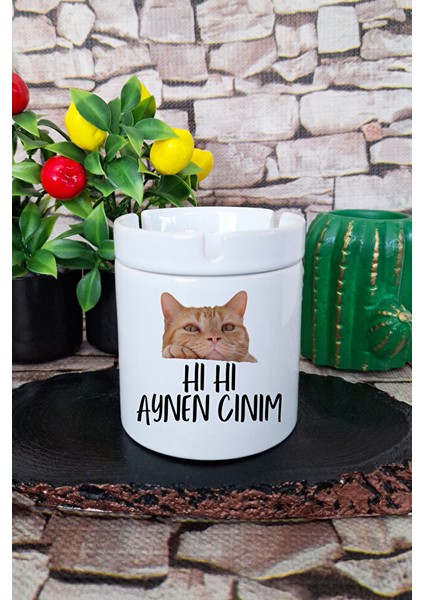 Aynen Cınım-Kedi Baskılı Eğlenceli Hediyelik Seramik Kapaklı Kokusuz Küllük