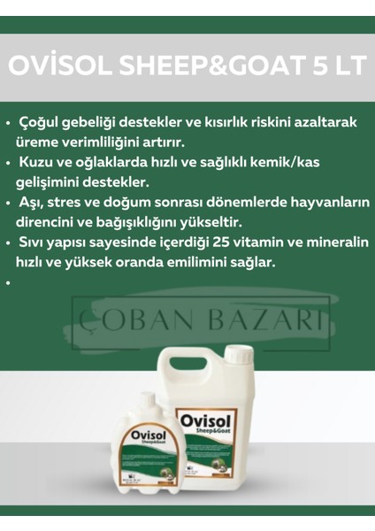 royal ilaç royal ovisol sheep&goat koyun ve keçi yem katkısı 5 lt