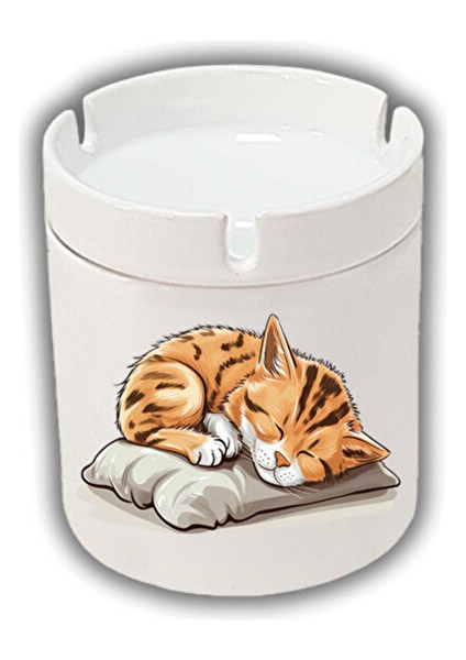 Uyuyan Kedi Baskılı Kül Tablası