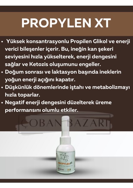 Propylen Xt