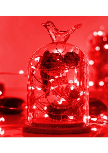 Ev Balkon ve Parti Için 10 Metre Kırmızı Renk Pilli Peri LED Yılbaşı Süsü Işık fiyatları