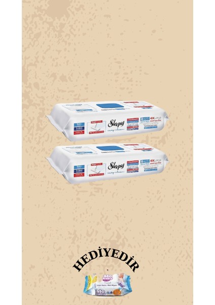 Easy Clean Çamaşır Suyu Katkılı Mopa Uyumlu Yer Temizlik Havlusu 100 Yaprak