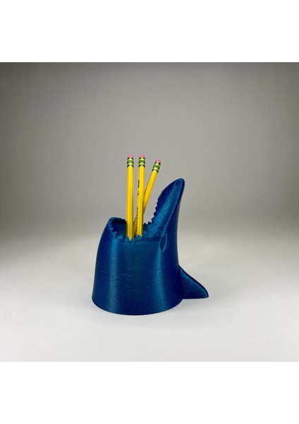 Organik Organizatörler: Köpekbalığı Kalem Kabı