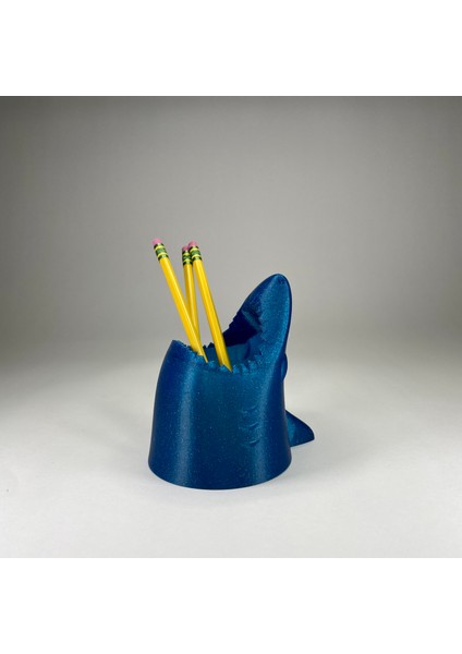 Organik Organizatörler: Köpekbalığı Kalem Kabı fiyatları