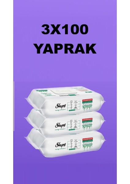 Easy Clean Yüzey Temizlik Havlusu Beyaz Sabun Katkılı 100 Yaprak x 3 Adet