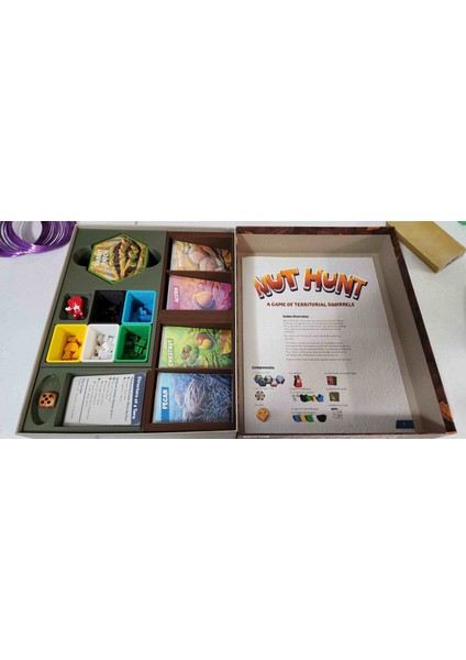 Fındık Avı 3D Düzenleyici