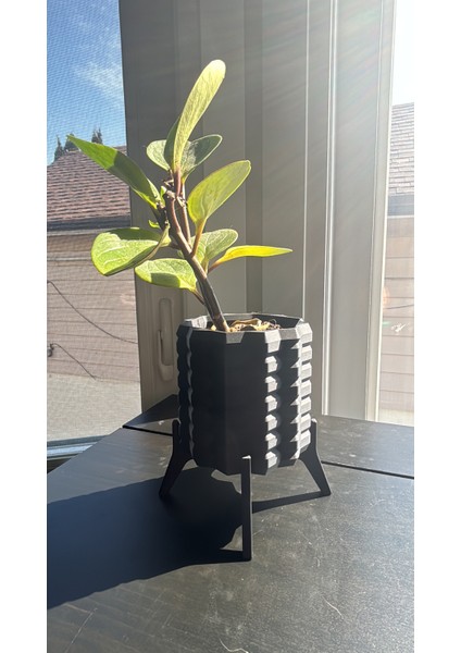 Açılı Altıgen Saksı ve Masa Düzenleyicisi, Birbirine Geçmeli Standlı