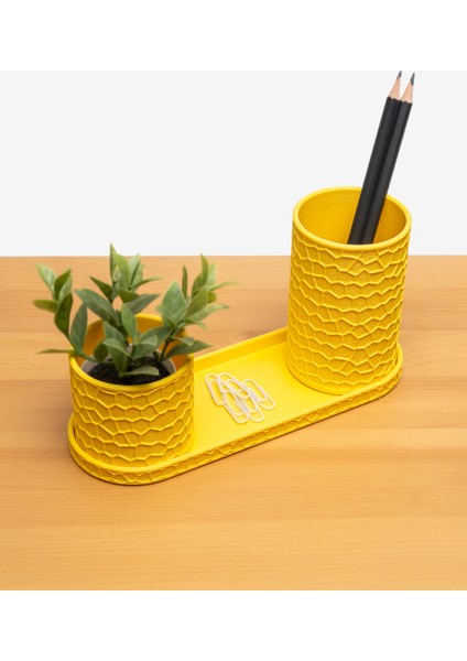 Petek Masa Düzenleyici modelleri