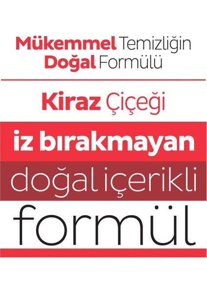 Easy Clean Lilyum Buketi + Orkide Bahçesi + Kiraz Çiçeği