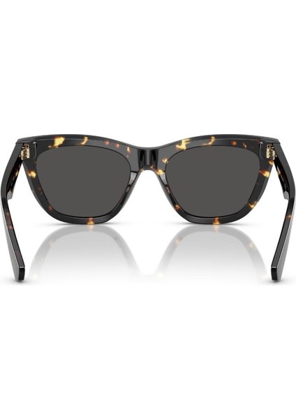 Güneş Gözlüğü BE4435 53 410687