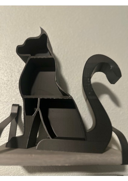 Kara Kedi Organizatör