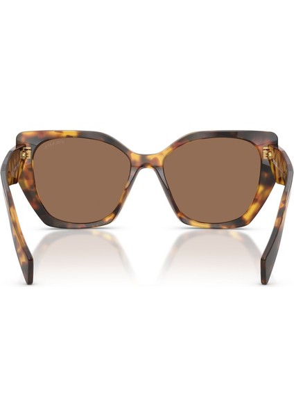 Güneş Gözlüğü Pr 19ZS 55 14L06B modelleri