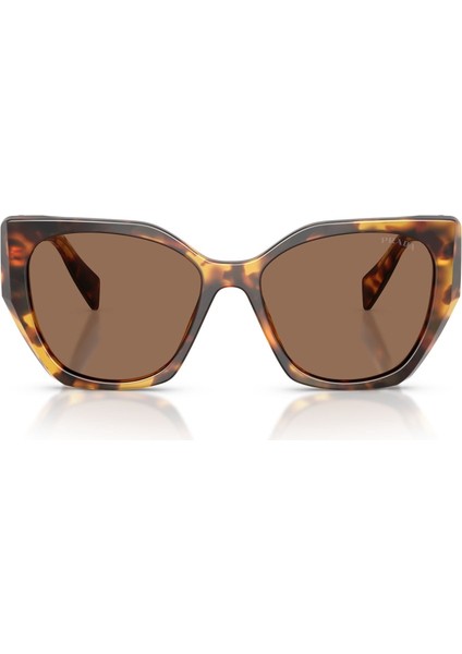 Güneş Gözlüğü Pr 19ZS 55 14L06B indirimleri