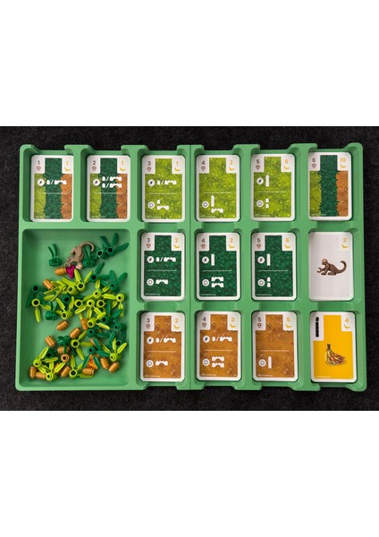 Maymun Sarayı Oyun Organizatörü