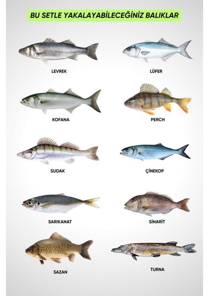 Spin At-Çek Deniz ve Göl Profesyonel Olta Seti Takımı - M - 1.50MT / 10-30GR - 42 Parça Elite fırsatları