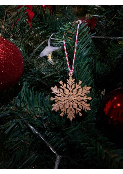 Yılbaşı Ağacı Parıltılı Kar Tanesi Süsü 10 Parça Set modelleri