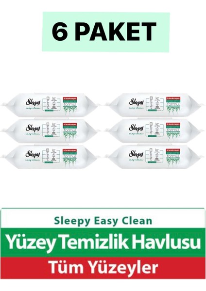 Easy Clean Yüzey Temizlik Havlusu 100 Yaprak Plastik Kapaklı (6 Lı Set) 600 Yaprak