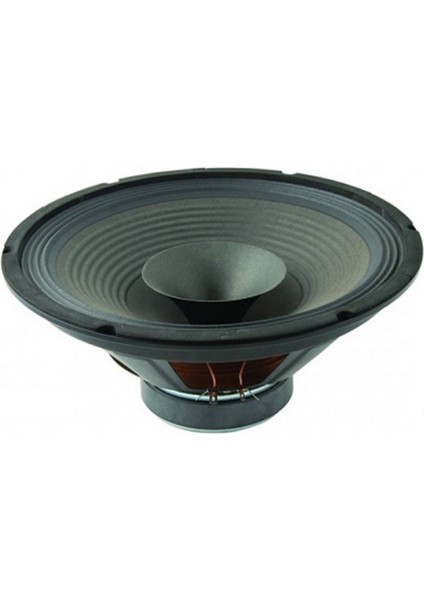 Hi-Fi Çıplak Hoparlör 38 cm