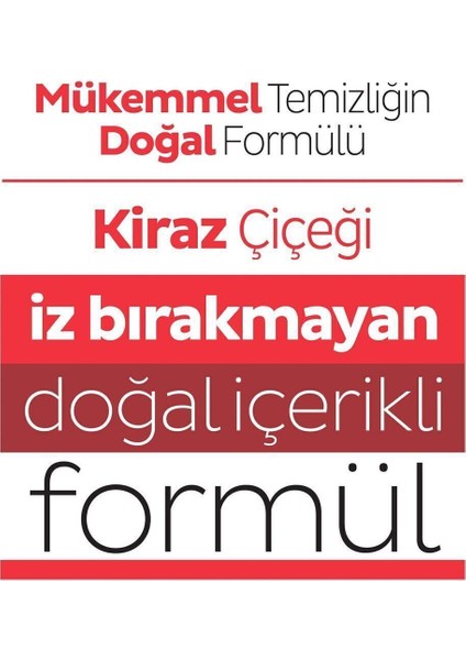 Easy Clean Lilyum Buketi Orkide Bahçesi Kiraz Çiçeği