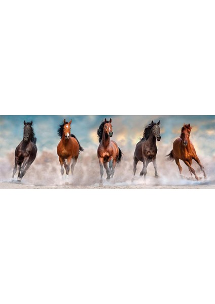 1000 Parça Horses Puzzle