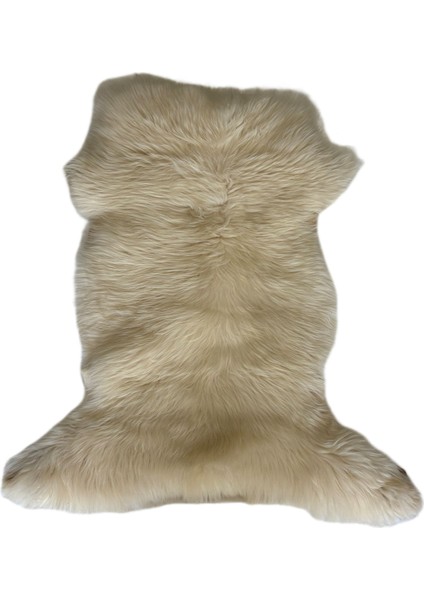 Üst Düzey Naturel Boyasız Medikal Özellikte Koyun Postu 100 x 65 cm fiyatları