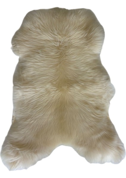 Üst Düzey Naturel Boyasız Medikal Özellikte Koyun Postu 100 x 65 cm indirimleri