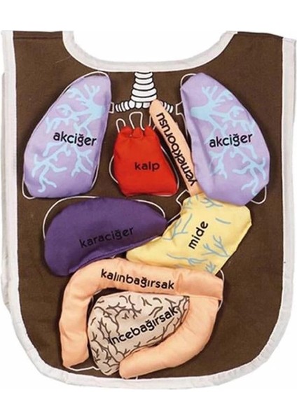 Bfs Nessiworld AND-5011 Organ Önlüğü fiyatları
