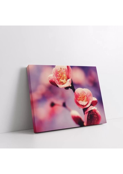 Pembe Sakura Kanvas Tablo fiyatları