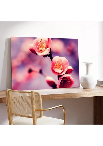 Pembe Sakura Kanvas Tablo modelleri