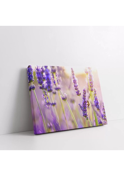 Lavanta Bahçesi Kanvas Tablo fiyatları