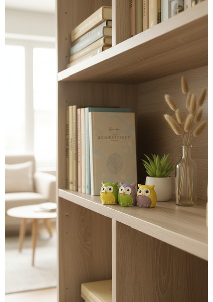 Üç Bilge Baykuş Seti-Renkli Dostlar Baykuş Seti-3’lü Dekoratif Mini Set- Yeşil - Lila - Sarı 4*4 modelleri