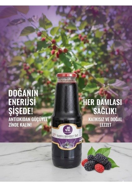 Taneli Karadut Özü 1350 gr